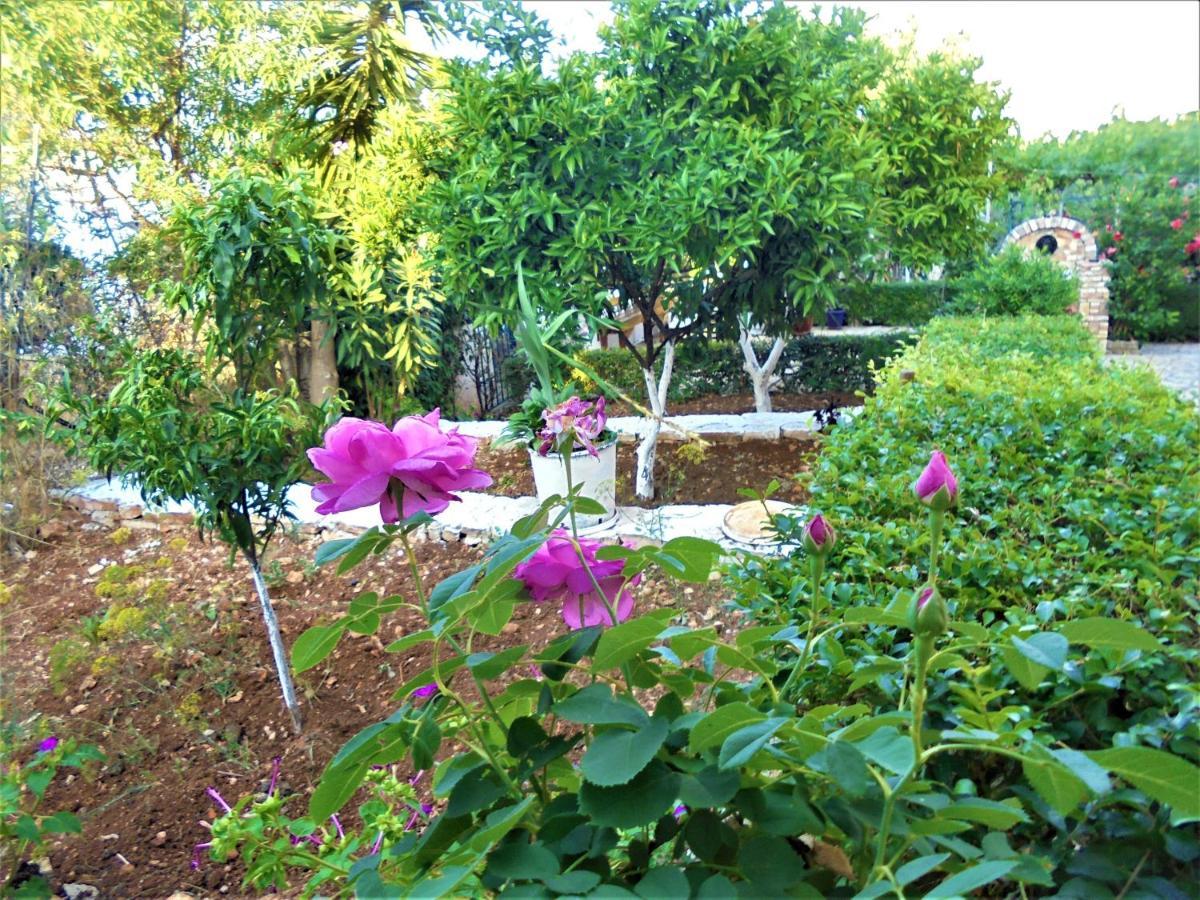 קסאמיל Vila Ori מראה חיצוני תמונה